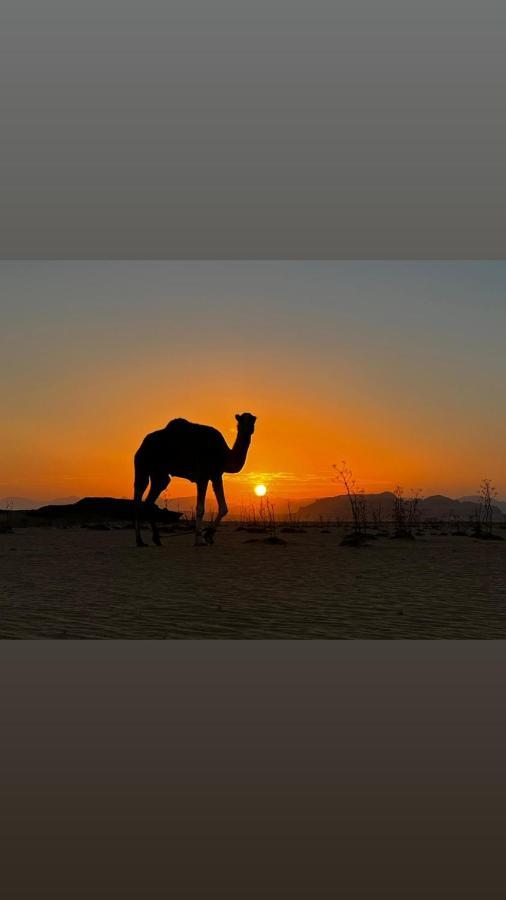 Wadi Rum Sand Delight Camp Hotel Luaran gambar